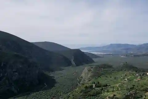 Delphi: Easy Hike on Ancient Path through the Olive Groves