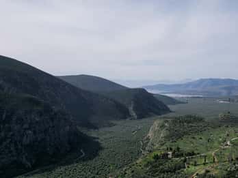 Delphi: Easy Hike on Ancient Path through the Olive Groves
