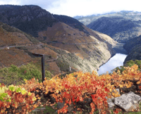 Santiago de Compostela, Excursión privada de fiordos gallegos - Hizvo