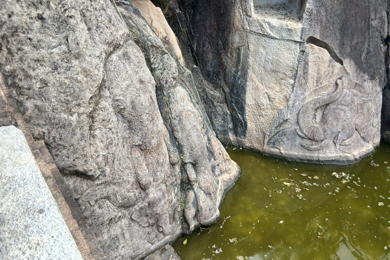 From Colombo/Negombo to Anuradhapura Day Tour with Mihintale