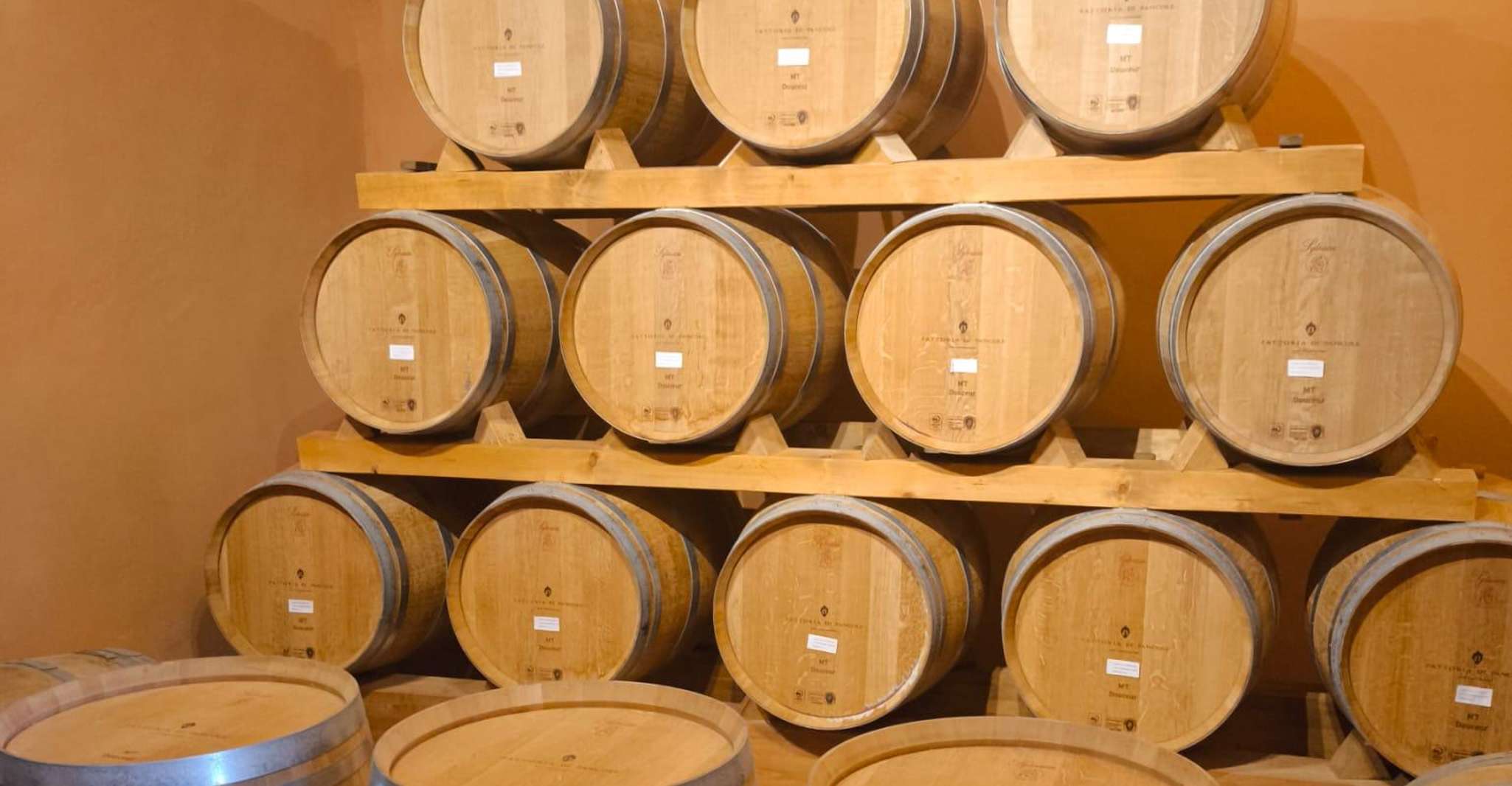 Florence: Chianti Wine Tour with 3 Wineries & Tuscan Lunch photo 12