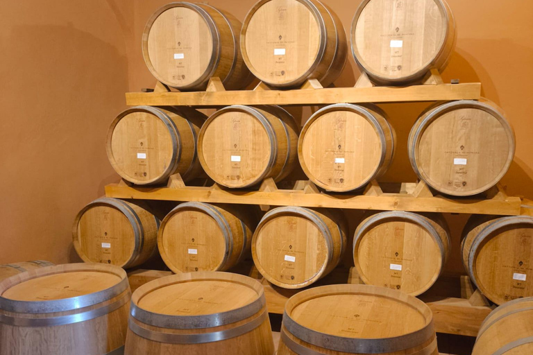 Florence: Chianti Wine Tour with 3 Wineries & Tuscan Lunch