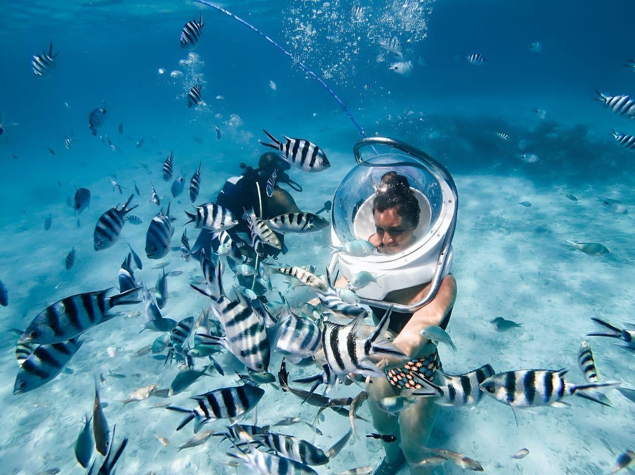 Mauritius: 3 Aktivitäten + Ile aux Cerfs Bootstour mit BBQ