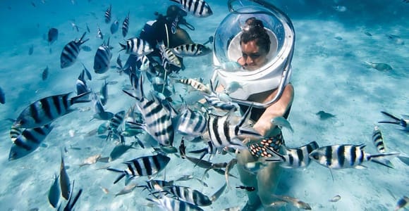 Mauritius: 3 Activities + Ile aux Cerfs Boat tour w/ BBQ