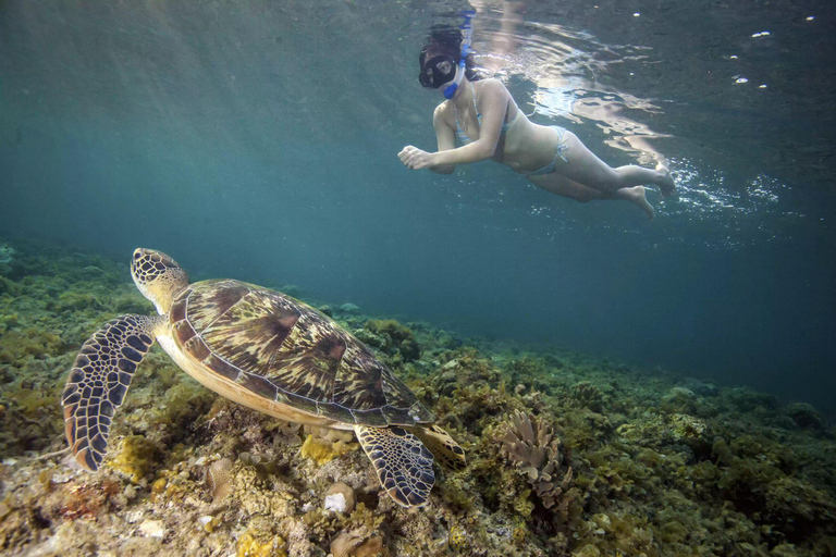 Nusa Penida Land Tour & Snorkeling Option with Photo From Penida- Snorkeling and West Penida