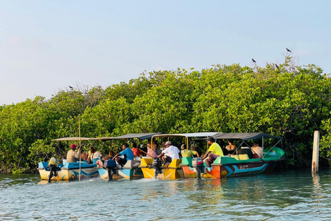 From Negombo: Boat Tour of Negombo Lagoon