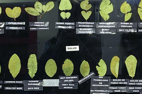 Cusco : visite guidée personnalisable de la ville