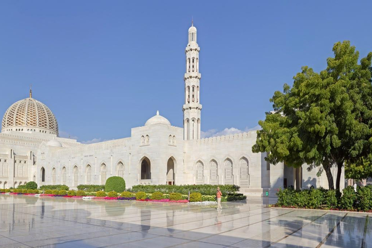 Muscat: Private City Tour with a Local Guide & Full Transfer