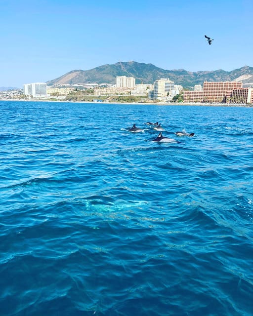 Benalm Dena Alquiler De Barcos Sin Licencia En La Costa Del Sol