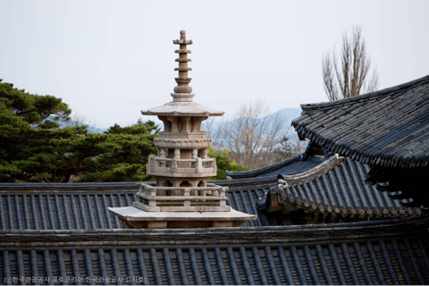 Busan: 7 Highlights Gyeongju City One Day Tour Gyeongju From Haeundae Ex.5