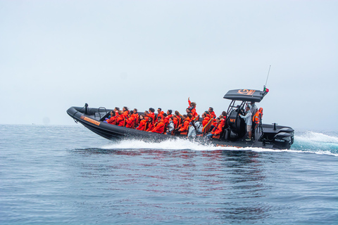 Bootstour "Geheimnisse der Westküste der Insel São Miguel"