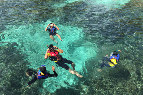 Rincon: Underwater Magic Snorkel Adventure