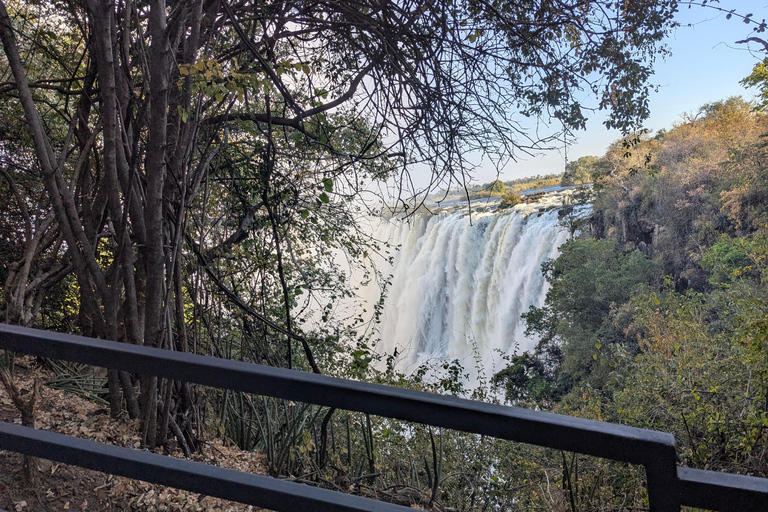 Livingstone: Victoria Falls Cross-Border Experience