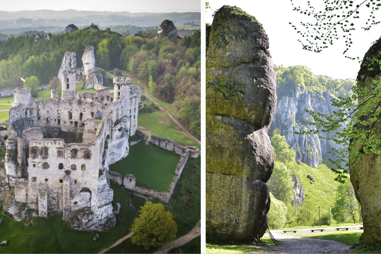 From Krakow: Ojców National Park and Ogrodzieniec Castle
