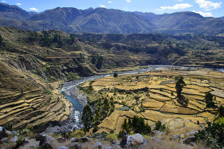 Arequipa: 1.5-Day City Tour and Colca Canyon+Puno (optional)
