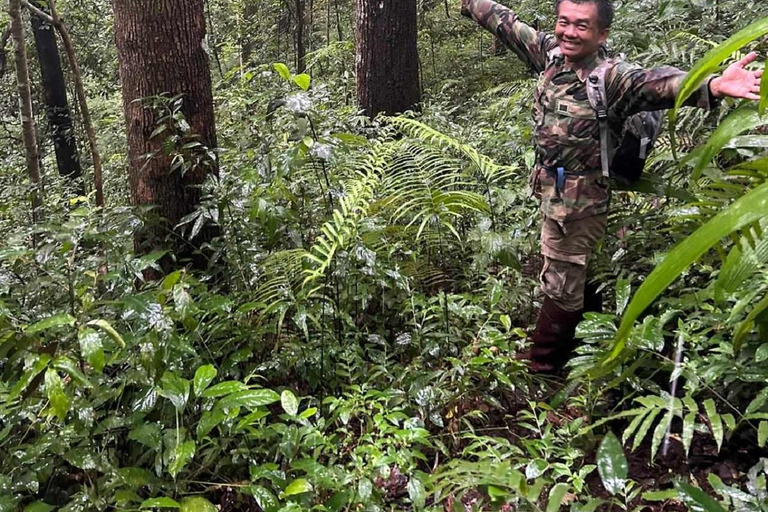 Chiang Mai: One day Doi Saket Hiking - Non-Touristic route Chiang Mai: One day Doi Saket Hiking - Non-Touristic rout.