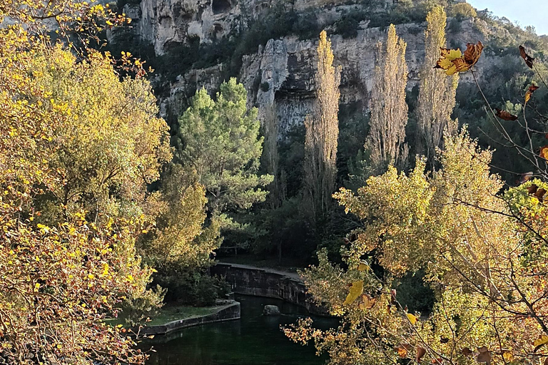 Fontaine De Vaucluse and Isle Sur La Sorgue by electric bike ALL-INCLUSIVE PACKAGES: 3 PACKAGES: DISCOVERY + MEDIAN 1 + MEDIAN 2