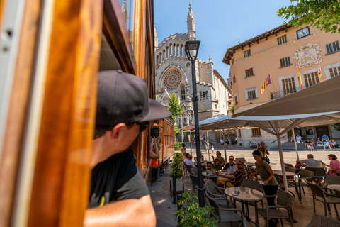 Mallorca: Island Tour with Boat, Tram &amp; Train from the South