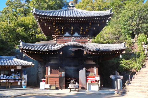 Hiroshima : Visite du sanctuaire d&#039;Itsukushima et du sommet de Miyajima