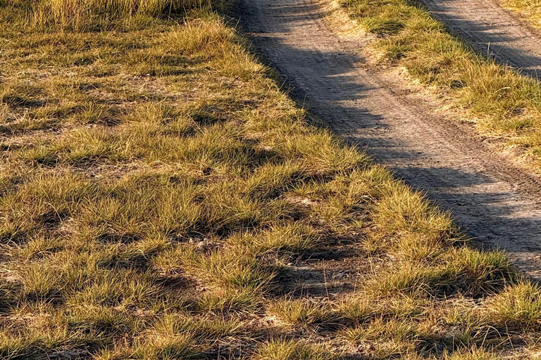 Nairobi: 8-Day Big Five, Culture & Photo Safari 8-Day Big Five, Culture & Photo Safari -Budget accommodation