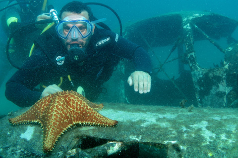 Nurkowanie w Paraty w Ocean Reefs – 45-minutowa wycieczka