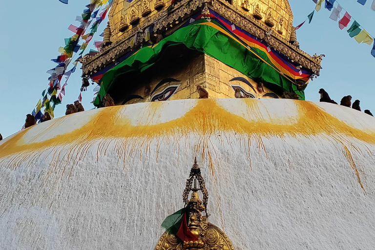 كاتماندو: جولة في الحديقة الخضراء والشلالات