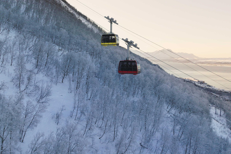 Tromsø: Daytime Fjellheisen Snowshoe Hike and Cable Car Ride