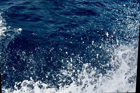 Corvo Island: Full Tour with Boat, Transfers, and Guide Corvo Island: Full Tour with Boat, Transfers, and Guide Included