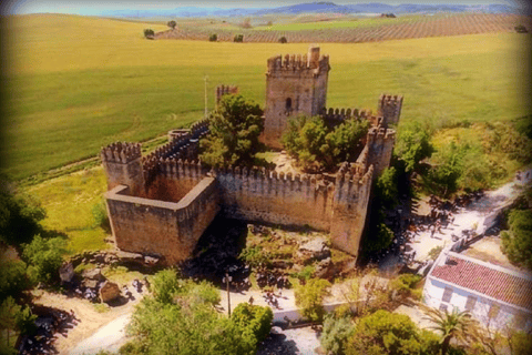 Desde Sevilha: Ronda, Setenil cidade branca e Miradouro de Zahara