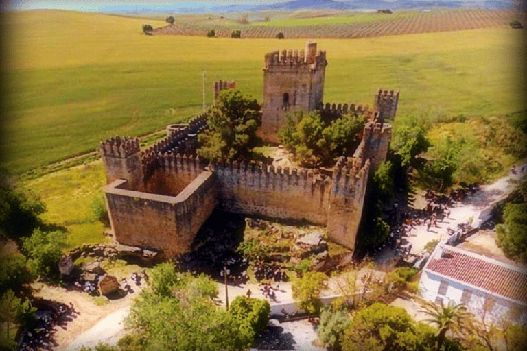 Desde Sevilha: Ronda, Setenil cidade branca e Miradouro de Zahara