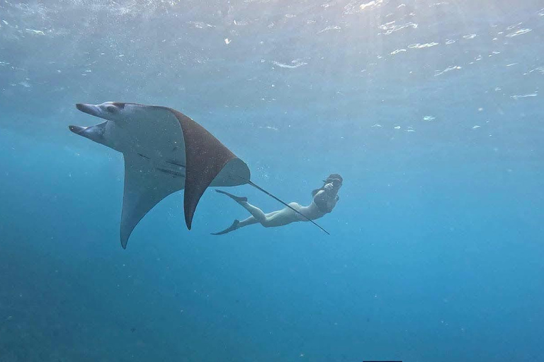 Bali/Nusa Penida: Private Snorkeling With Guide & West Tour Transfer from Sanur Area