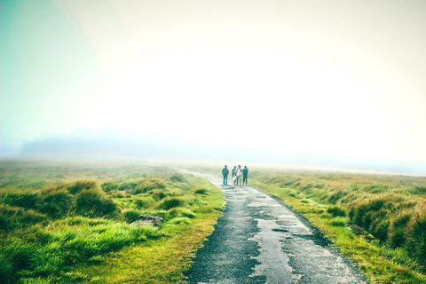 Horton Plains, Strawberry & Ambewela Farm. From Nuwara Elia