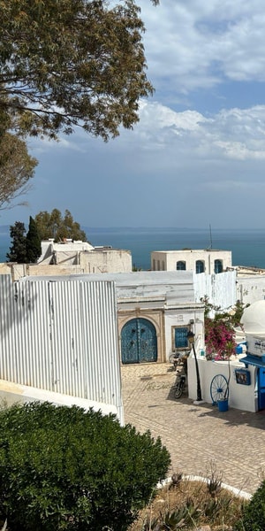 Private Day Medina Of Tunis Carthage Sidi Bousaid With Lunch | GetYourGuide