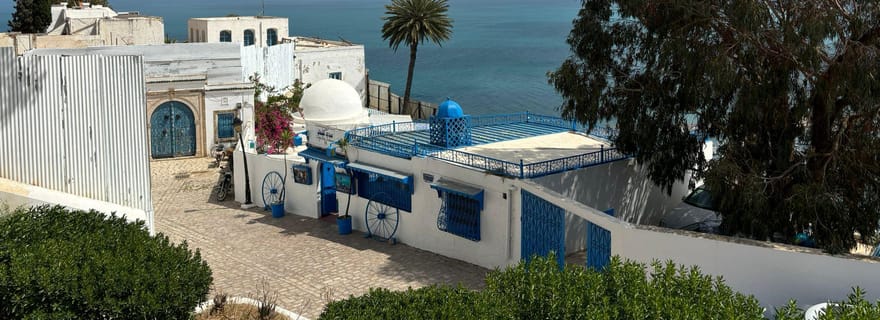 Journée privée médina de Tunis Carthage Sidi Bousaid avec déjeuner