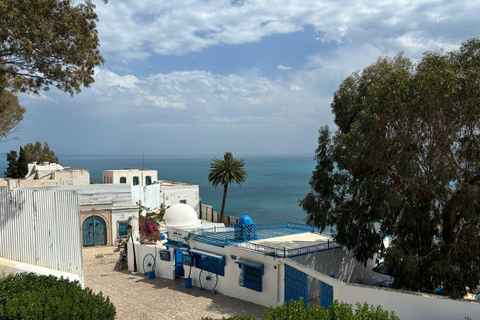 Private Day medina of Tunis Carthage Sidi Bousaid with lunch