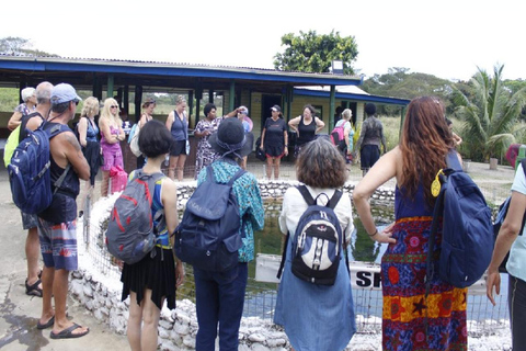 Fidżi: Odkryj Nadi dzięki wycieczce do gorących źródeł Sabeto i basenu błotnegoOdbiór z Fiji Marriott/Queens Wharf Lautoka/Tanoa Waterfront