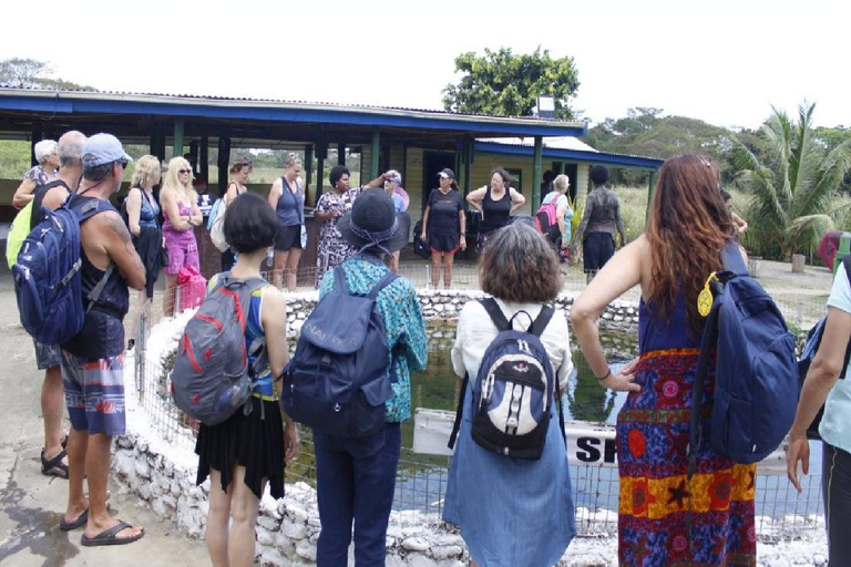 Fidżi: Odkryj Nadi dzięki wycieczce do gorących źródeł Sabeto i basenu błotnegoOdbiór z Fiji Marriott/Queens Wharf Lautoka/Tanoa Waterfront
