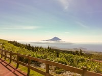 Faial Island, The main attractions on a Half Day Tour - Housity