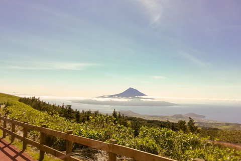 Horta, Ilha do Faial: Excursão de meio dia