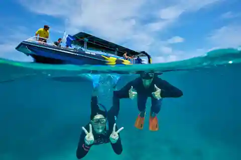 Cairns: Great Barrier Reef Snorkel Tour - Mid Morning Tour