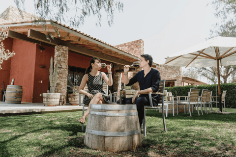 León: Tour Viñedo Tierra de Luz com degustação de vinhos