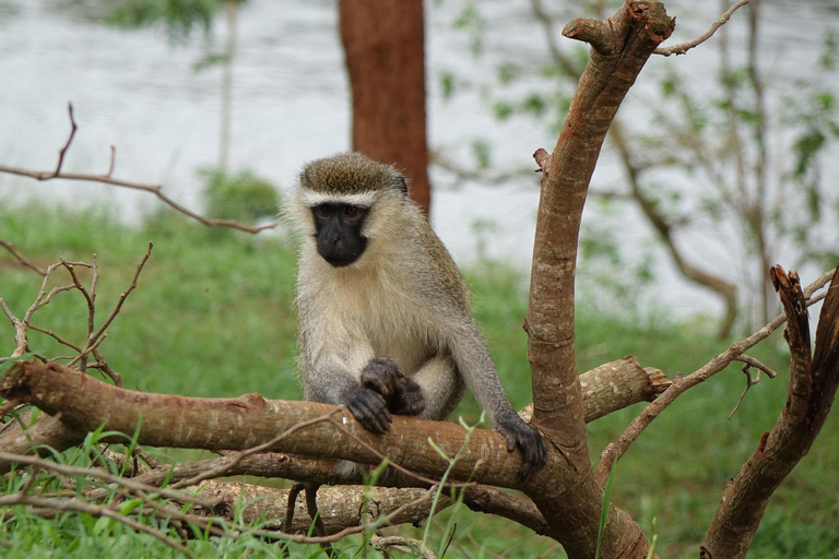 Kampala: Jinja Adventure Day Trip with Ziplining & Lunch