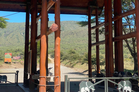 From Nairobi: Mount Longonot 4 Craters Hike Day Trip From Nairobi: Mount Longonot 4 Craters Hike Day Trip