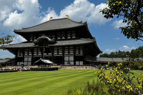 Visita guiada completa ao Templo Todaiji, ao Santuário Kasuga e ao Parque de Nara