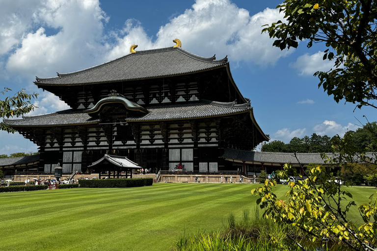 Visita guiada completa ao Templo Todaiji, ao Santuário Kasuga e ao Parque de Nara