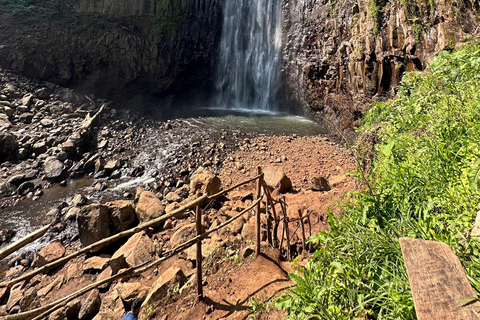 Moshi: Materuni waterval en koffietour met lokale lunch