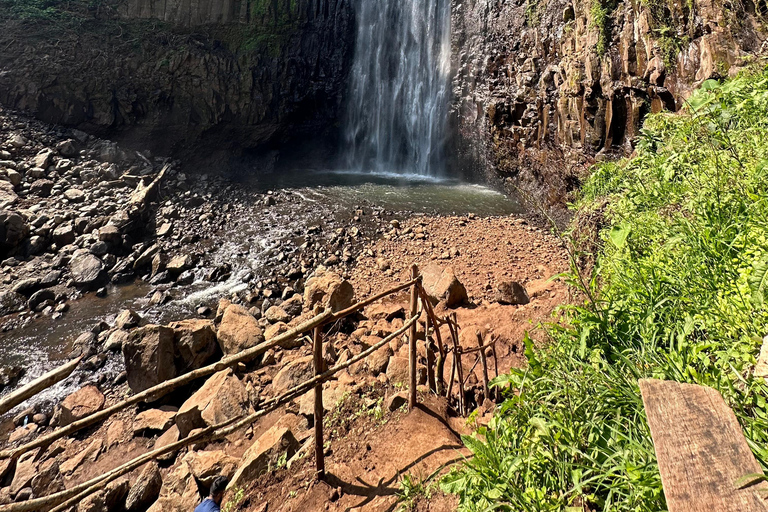 Moshi: Materuni waterval en koffietour met lokale lunch