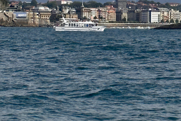 San Sebastian: Tour panoramico della baia e della costa in catamarano