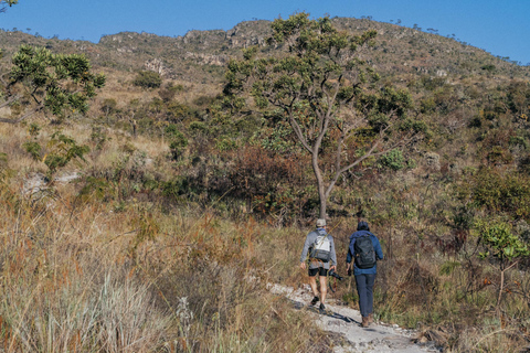 From São Paulo: 5-Day Serra da Canastra Wildlife Safari