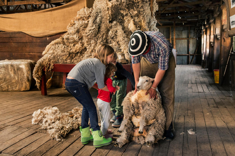 El Calafate: Nibepo Aike Ranch med hästridning